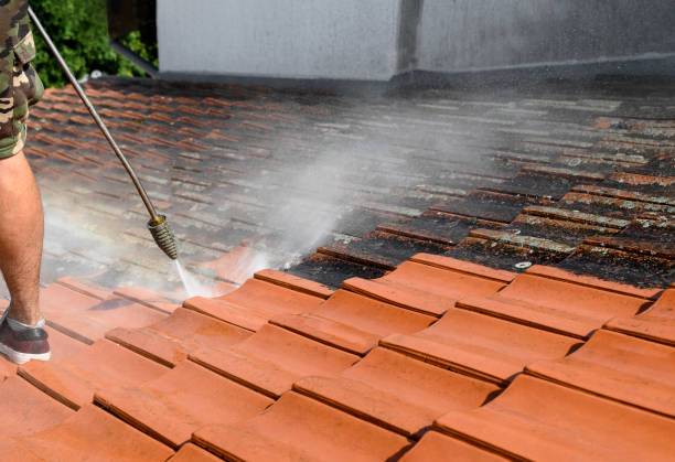 Best Pressure Washing Near Me  in Anna, IL
